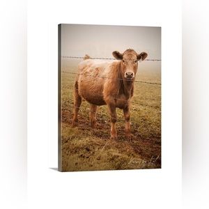 Photo of brown cow on canvas, photo taken by @Kanvas by Kat